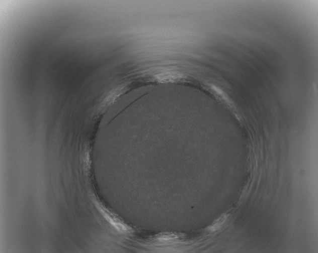 X0000062630405200512231019