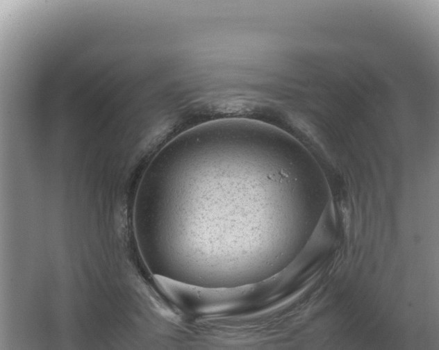 X0000062630407200512231019