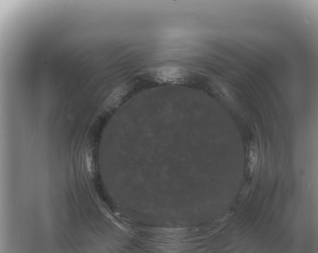 X0000062630408200512231019