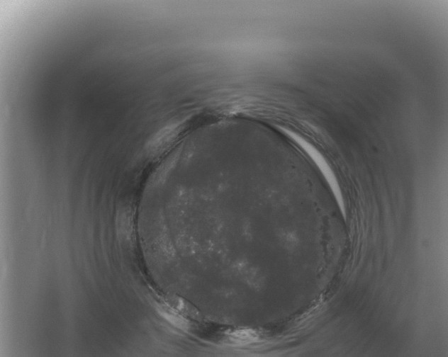 X0000062630409200512231019