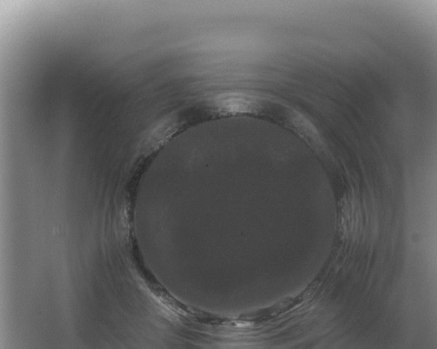 X0000062630410200512231019