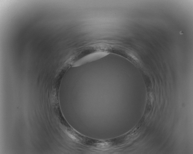 X0000062630411200512231019