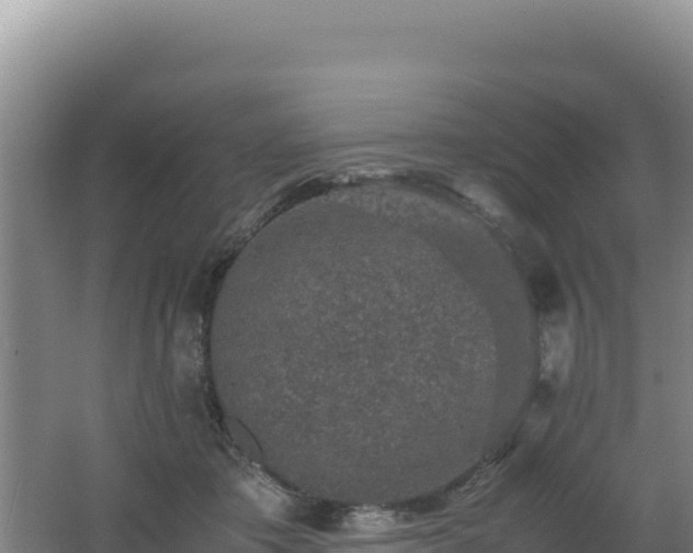 X0000062630413200512231019