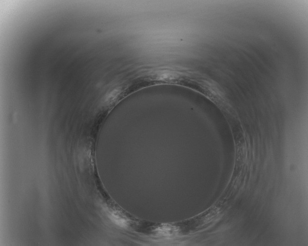 X0000062630415200512231019