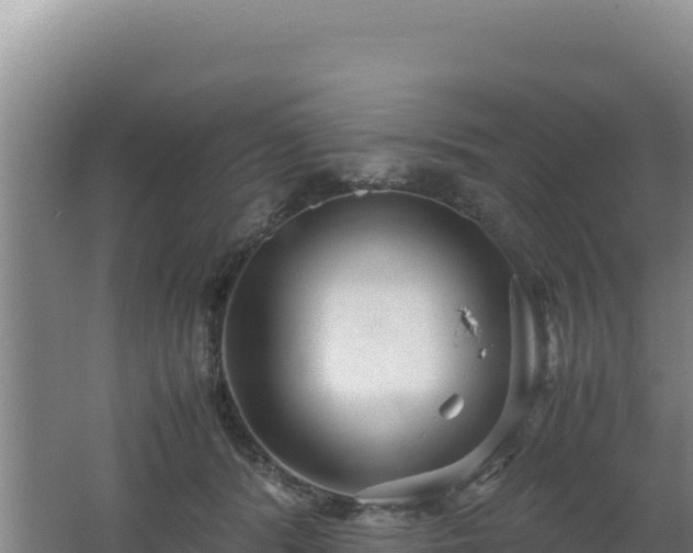 X0000062630416200512231019