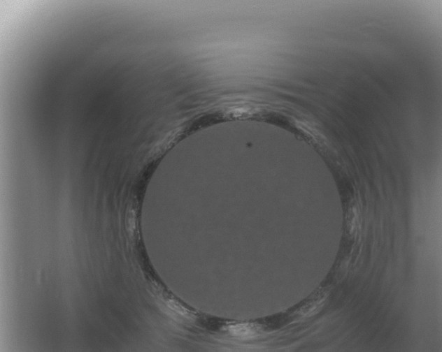 X0000062630417200512231019