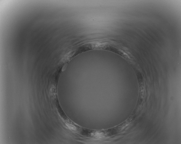 X0000062630419200512231019