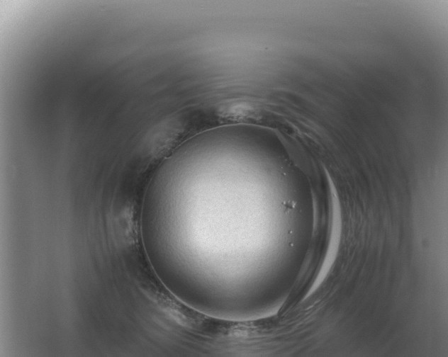 X0000062630420200512231019