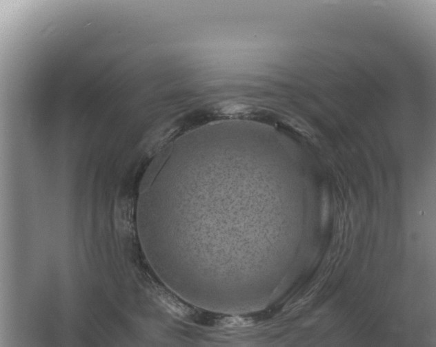 X0000062630421200512231019