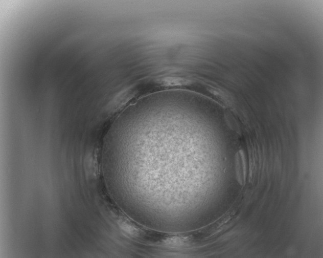 X0000062630422200512231019