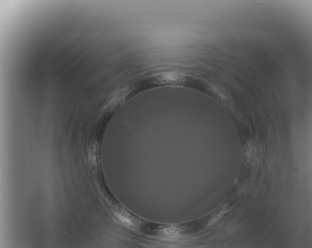 X0000062630423200512231019