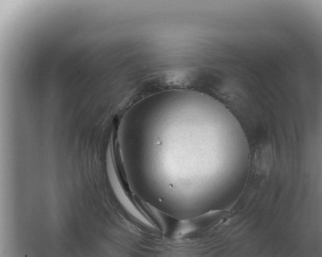 X0000062630424200512231019