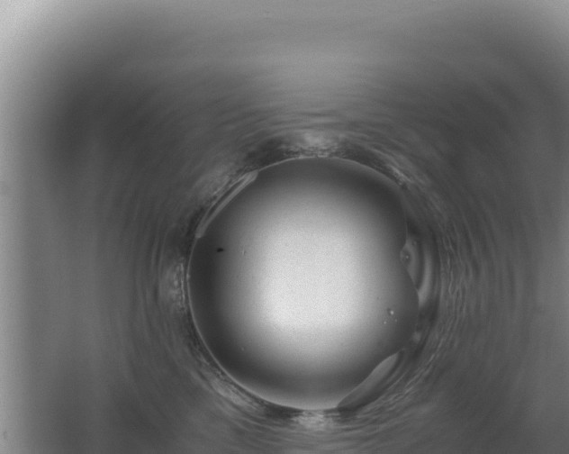 X0000062630425200512231018