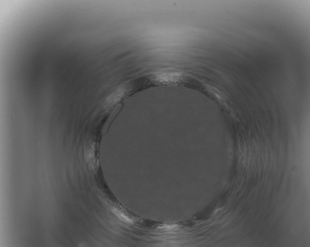 X0000062630428200512231018