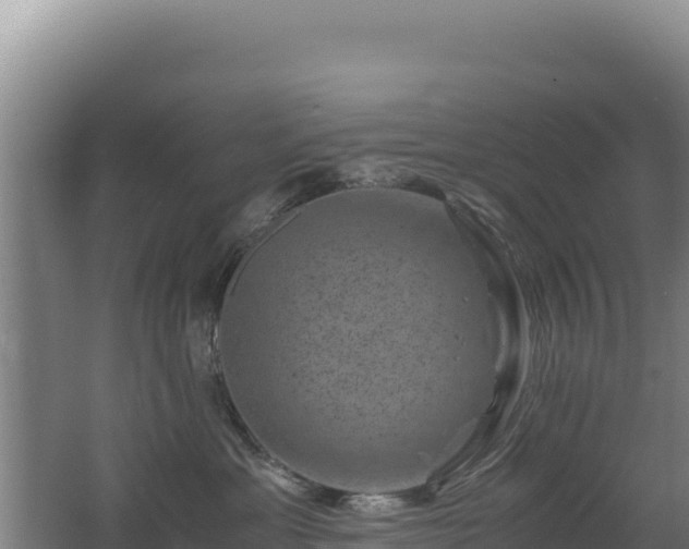 X0000062630429200512231018