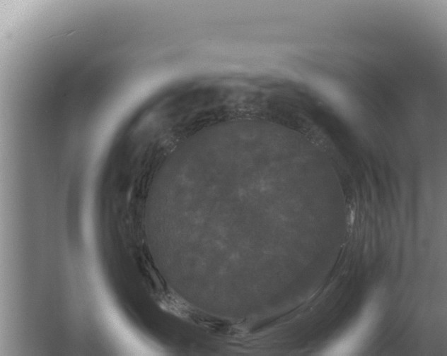 X0000062630431200512231018