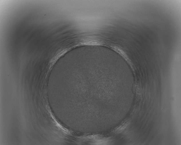 X0000062630433200512231018