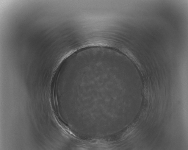 X0000062630434200512231018