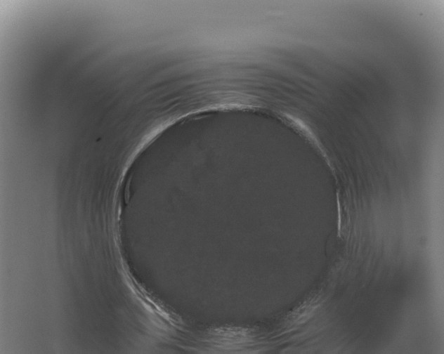 X0000062630435200512231018