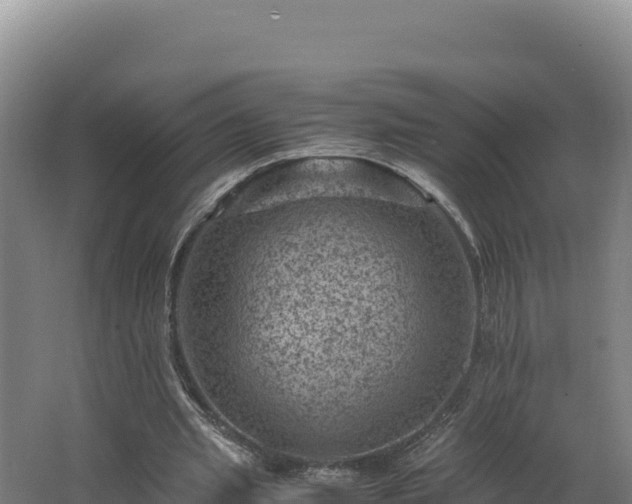 X0000062630437200512231018