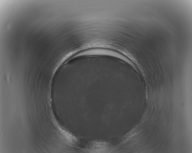 X0000062630438200512231018