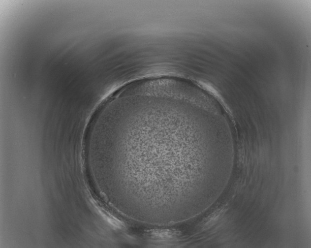 X0000062630439200512231018