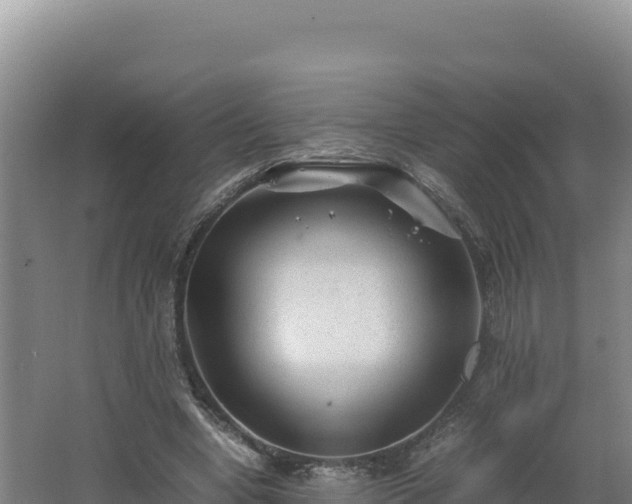 X0000062630442200512231018