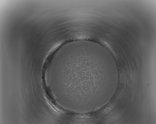 X0000062630443200512231018