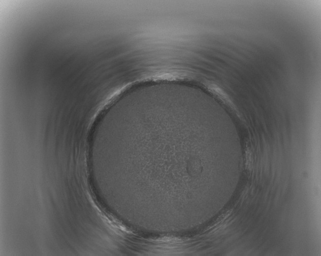 X0000062630444200512231018