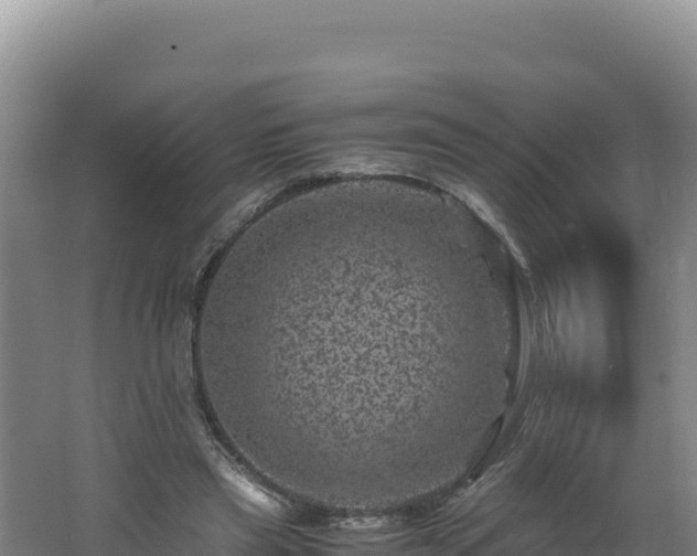 X0000062630445200512231018