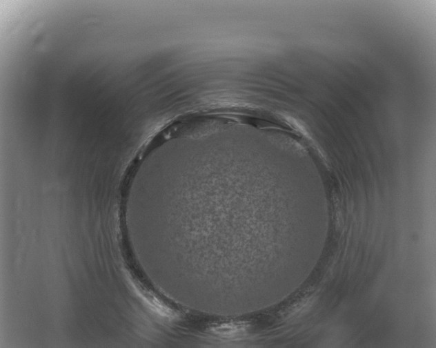 X0000062630447200512231018