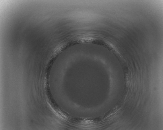 X0000062630451200512231018