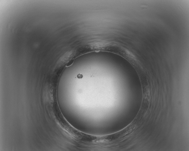 X0000062630452200512231018