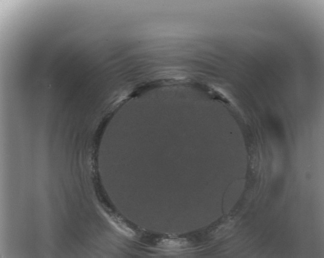 X0000062630455200512231018