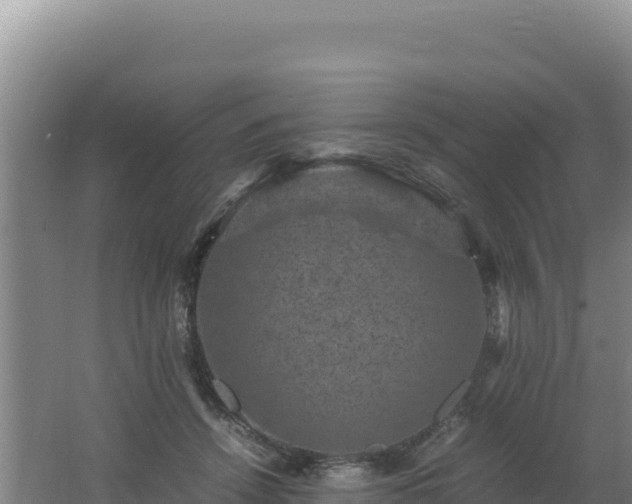 X0000062630456200512231018