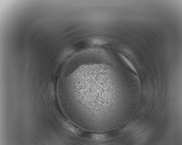 X0000062630457200512231018