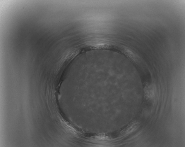 X0000062630458200512231018