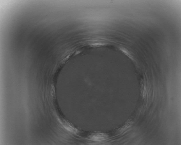 X0000062630459200512231018