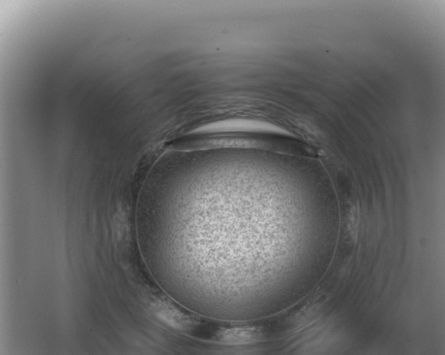 X0000062630461200512231018