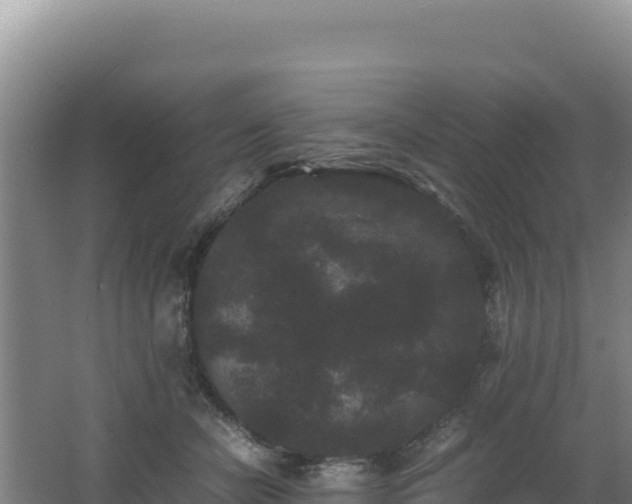 X0000062630462200512231018