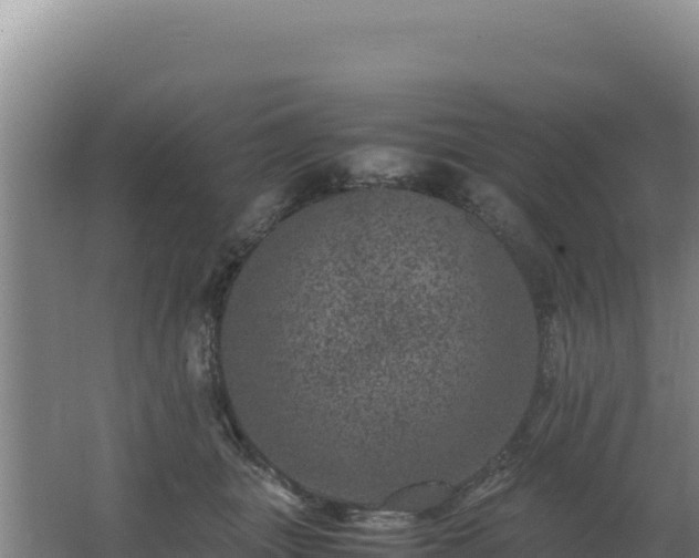 X0000062630463200512231018