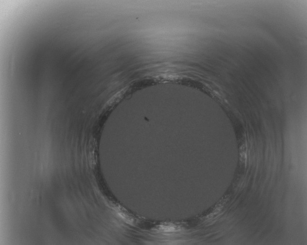 X0000062630464200512231018