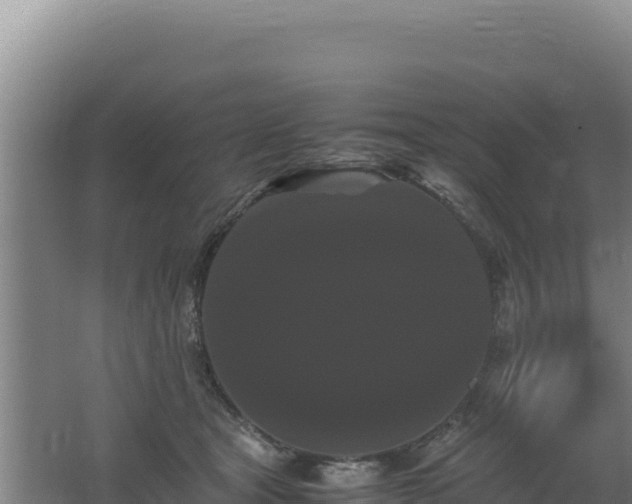 X0000062630465200512231018