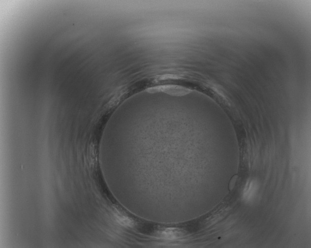 X0000062630467200512231018