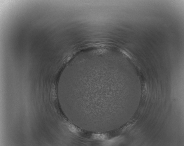 X0000062630469200512231018