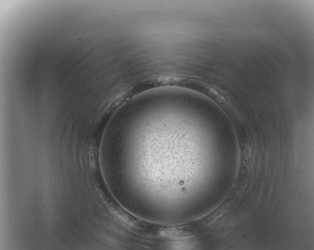 X0000062630470200512231018