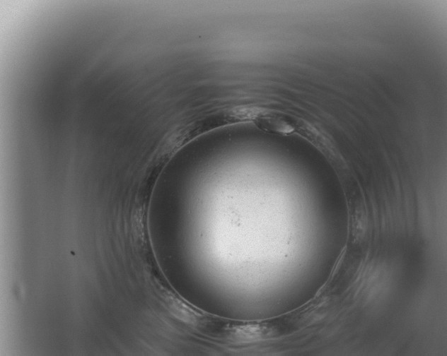 X0000062630473200512231018