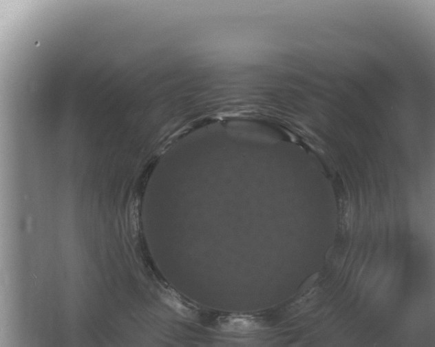 X0000062630475200512231018