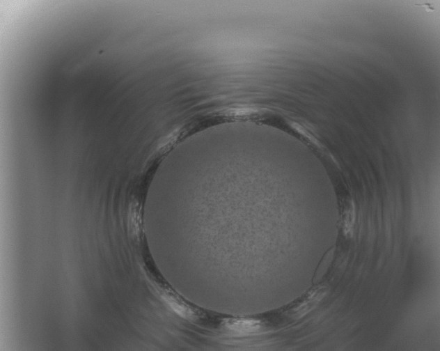 X0000062630476200512231018