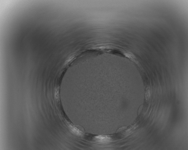 X0000062630477200512231018